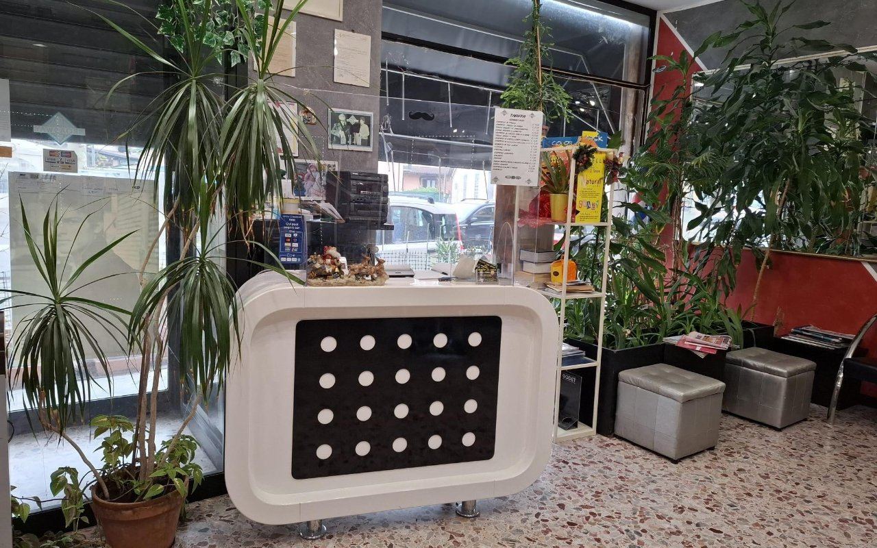 Bancone di accoglienza bianco e piante vicino alla vetrina